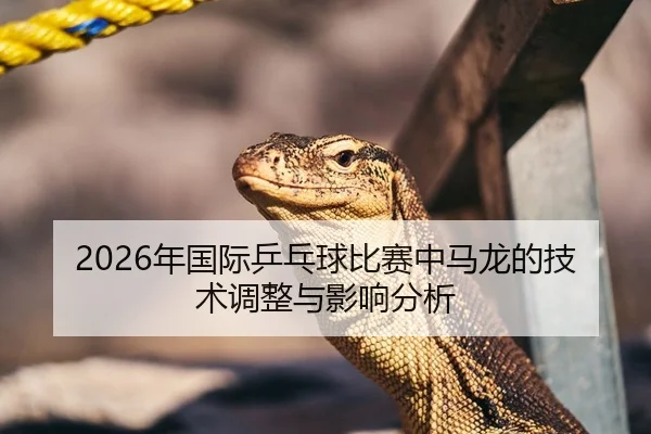 2026年国际乒乓球比赛中马龙的技术调整与影响分析