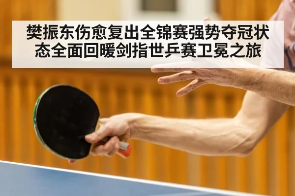樊振东伤愈复出全锦赛强势夺冠状态全面回暖剑指世乒赛卫冕之旅